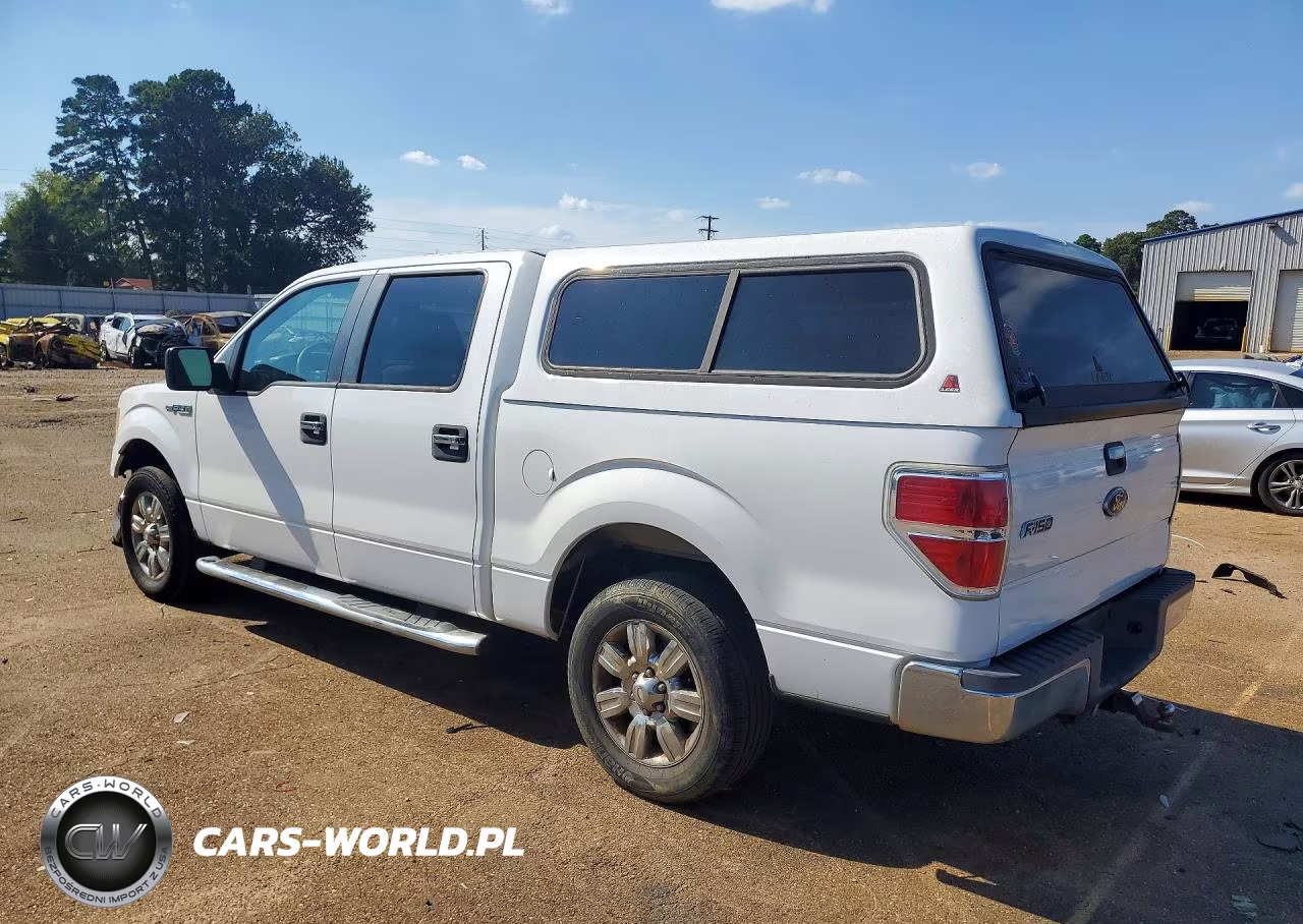 2010 Ford F150 Supercrew VIN:1FTEW1C87AFD42877 - 2