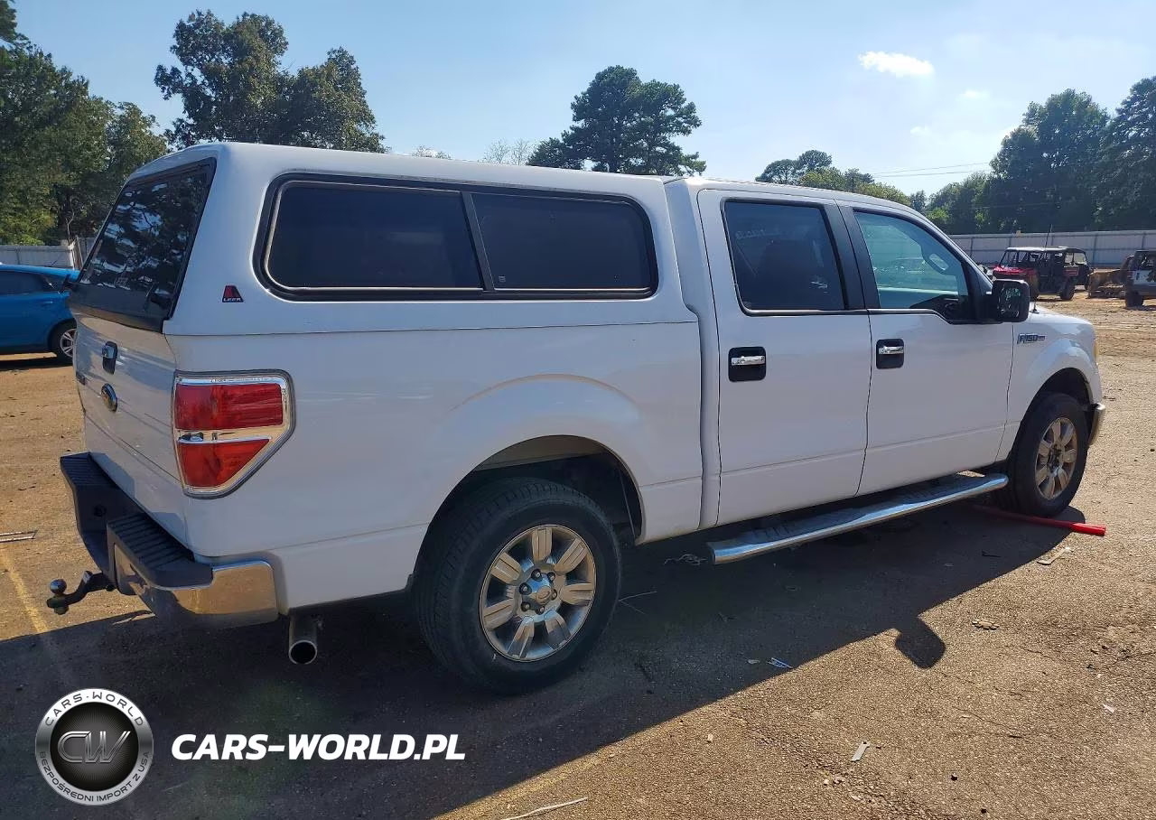 2010 Ford F150 Supercrew VIN:1FTEW1C87AFD42877 - 3