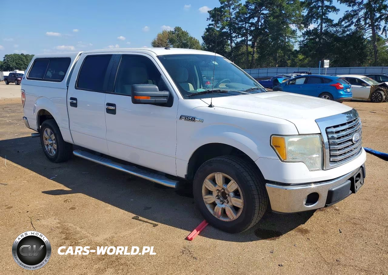 2010 Ford F150 Supercrew VIN:1FTEW1C87AFD42877 - 4