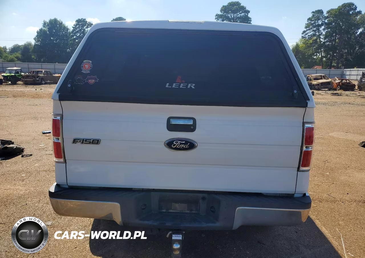2010 Ford F150 Supercrew VIN:1FTEW1C87AFD42877 - 6