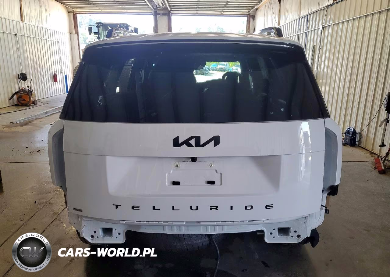 2027 Kia Telluride X-Pro Sx Prestige VIN:5XYPLES14VG003591 - 6