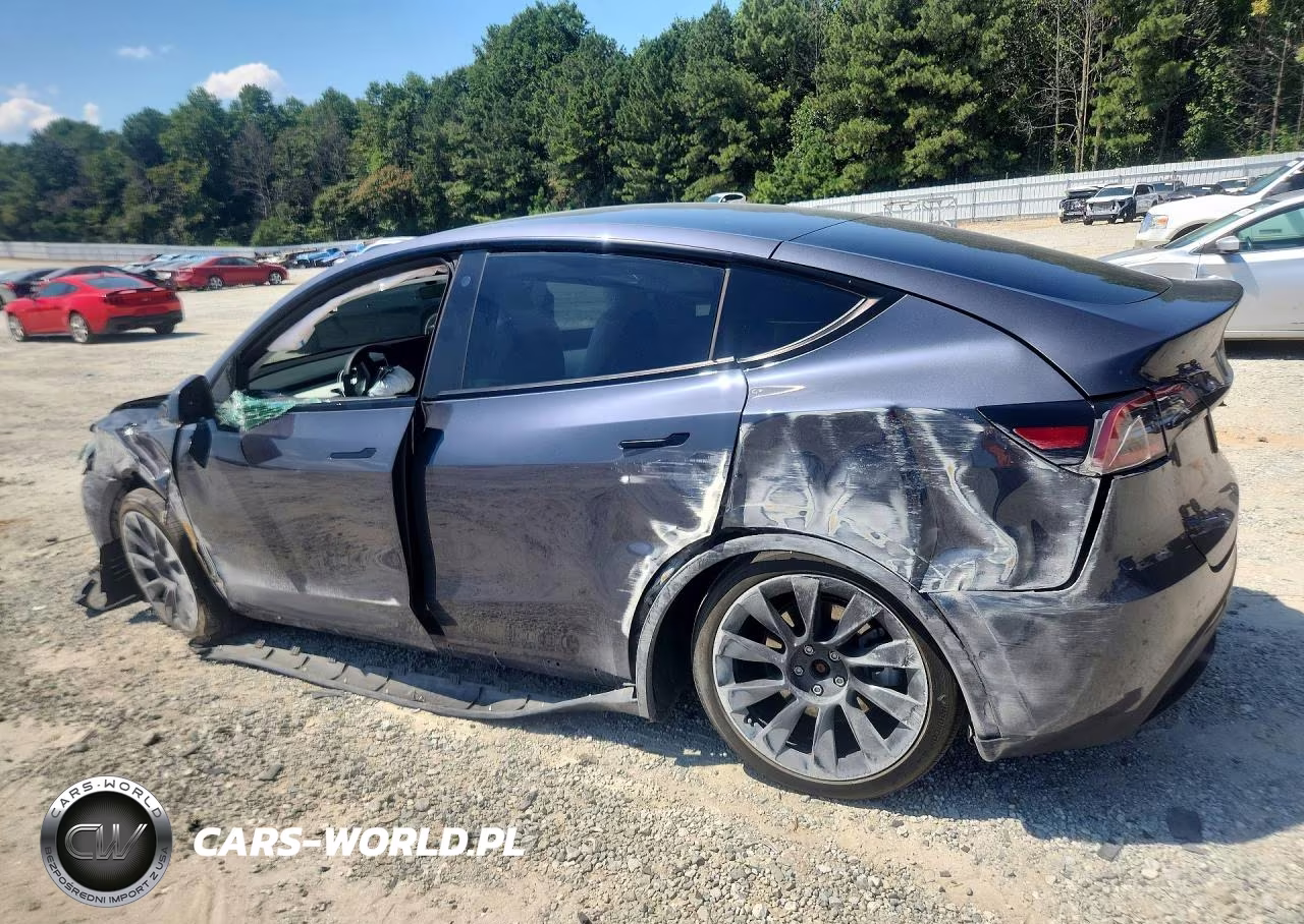 2022 Tesla Model Y VIN:7SAYGDEE6NF420481 - 2