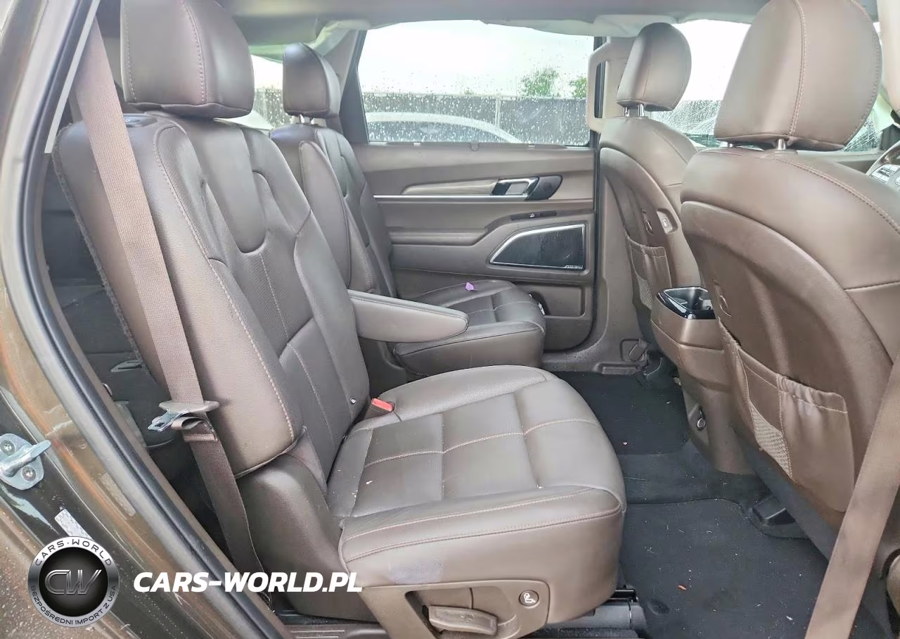 2021 Kia Telluride Sx VIN:5XYP5DHC3MG117223 - 11