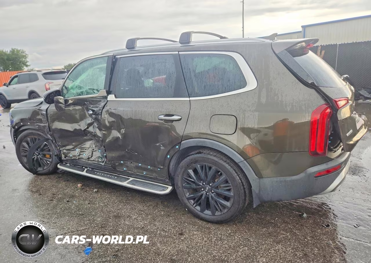 2021 Kia Telluride Sx VIN:5XYP5DHC3MG117223 - 2