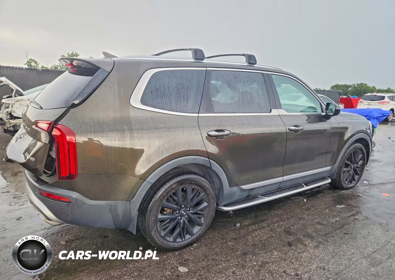 2021 Kia Telluride Sx VIN:5XYP5DHC3MG117223 - 3