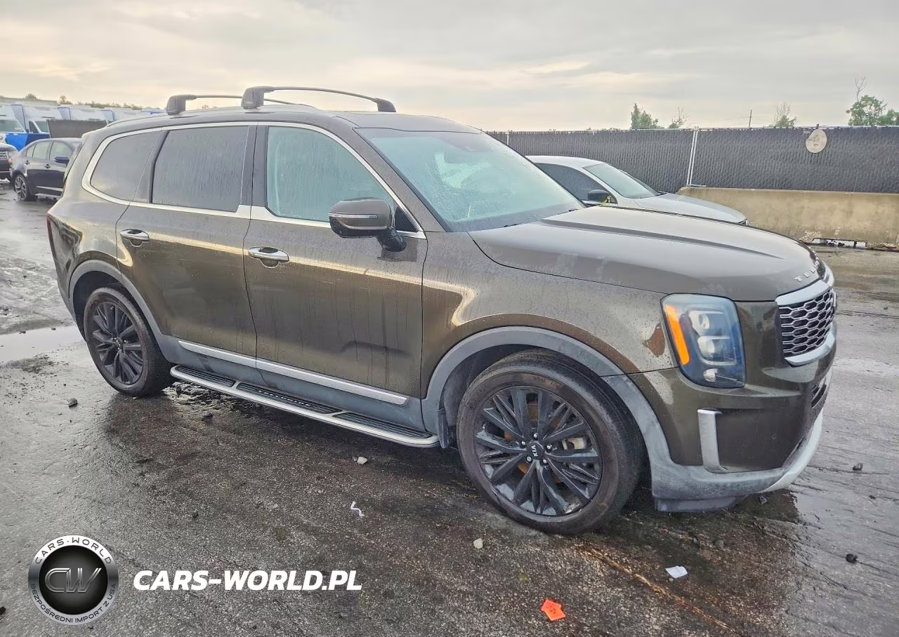 2021 Kia Telluride Sx VIN:5XYP5DHC3MG117223 - 4