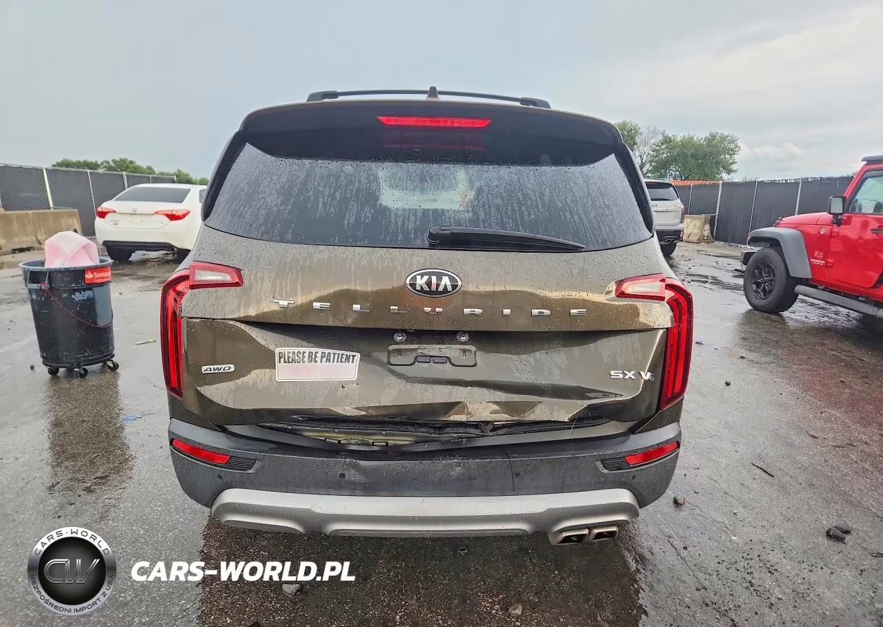 2021 Kia Telluride Sx VIN:5XYP5DHC3MG117223 - 6