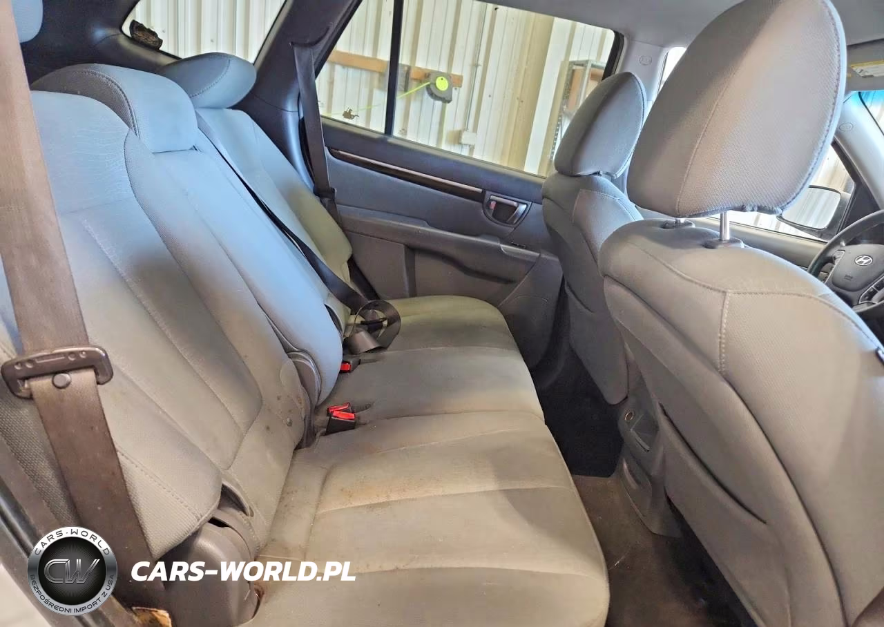 2010 Hyundai Santa Fe Gls VIN:5NMSG3AB8AH355229 - 10