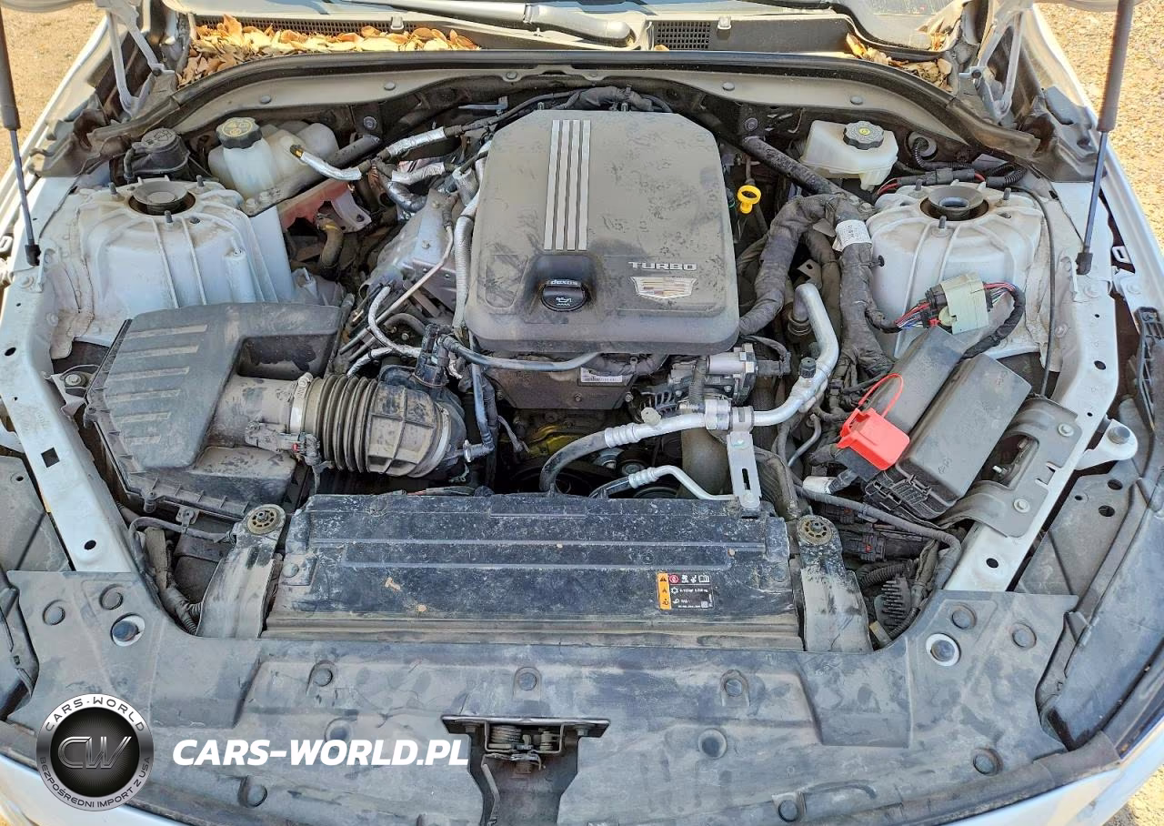 2024 Cadillac Ct5 Sport VIN:1G6DP5RK2R0104469 - 11