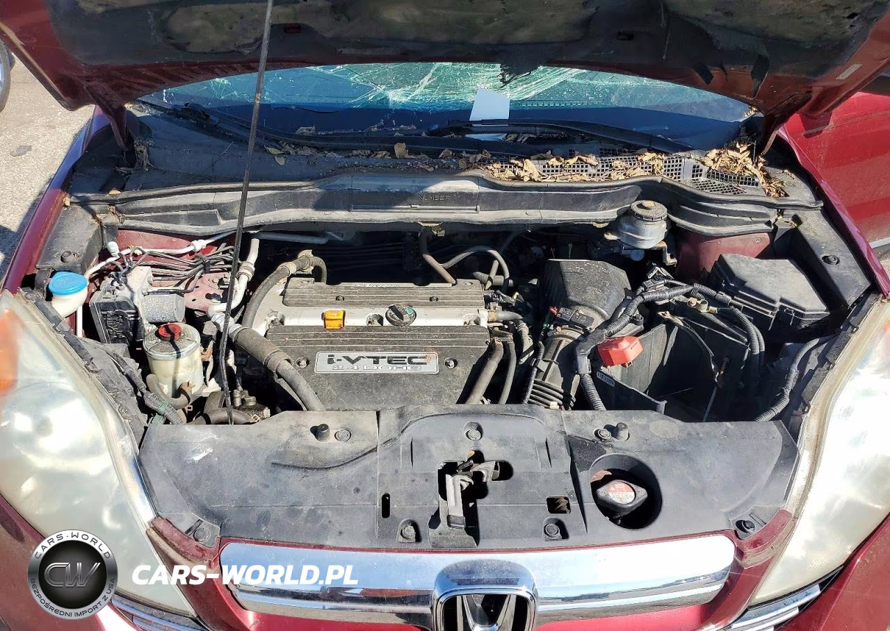 2009 Honda Cr-V Ex VIN:3CZRE485X9G708548 - 12