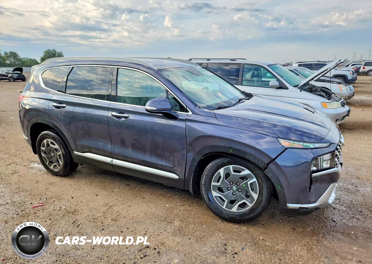 2022 Hyundai Santa Fe Blue VIN:KM8S2DA13NU028002 - 4
