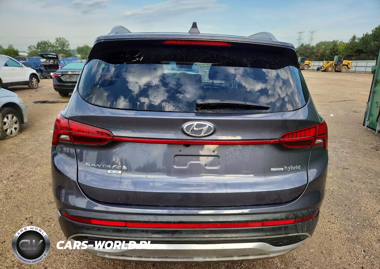 2022 Hyundai Santa Fe Blue VIN:KM8S2DA13NU028002 - 6