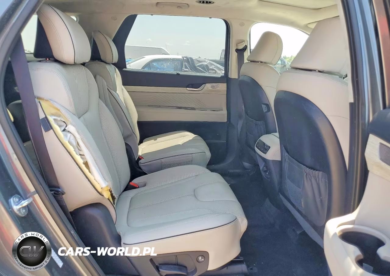 2023 Hyundai Palisade Calligraphy VIN:KM8R74GE4PU611918 - 12