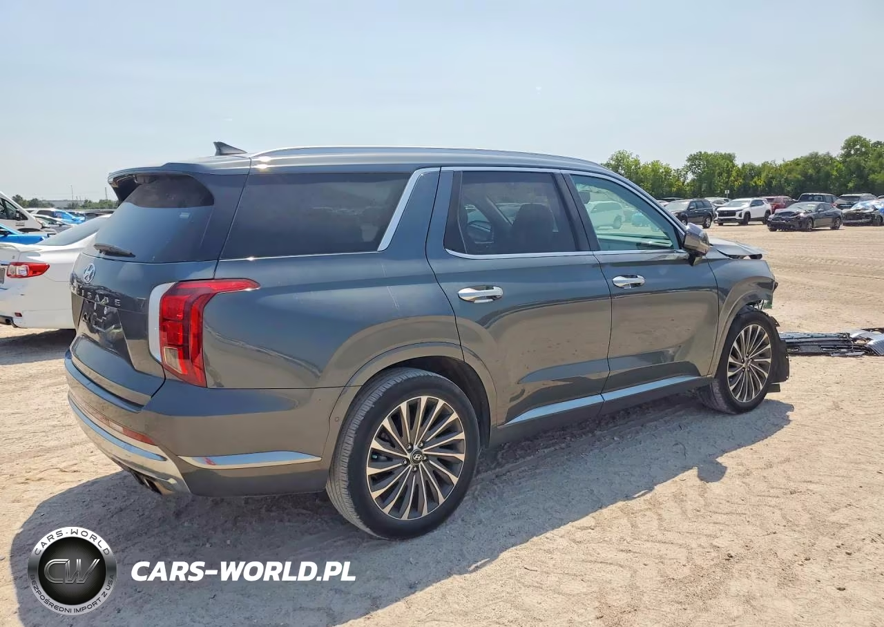 2023 Hyundai Palisade Calligraphy VIN:KM8R74GE4PU611918 - 3