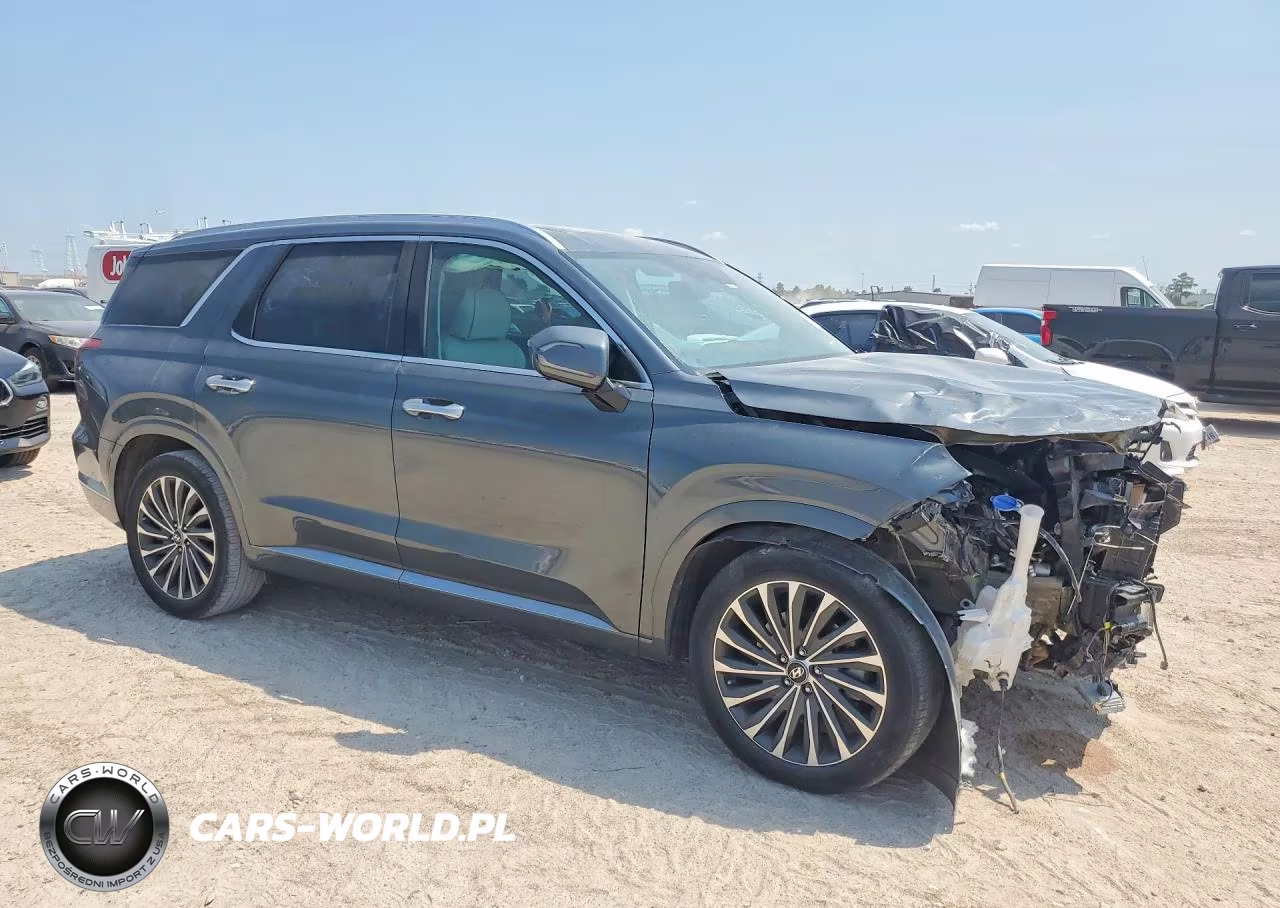 2023 Hyundai Palisade Calligraphy VIN:KM8R74GE4PU611918 - 4