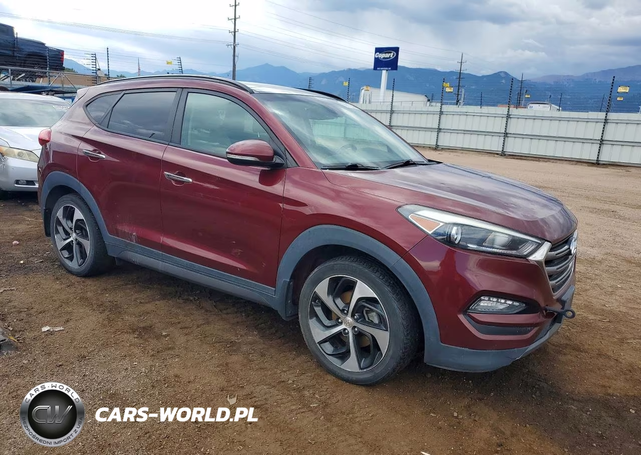 2016 Hyundai Tucson Limited VIN:KM8J3CA21GU236104 - 4