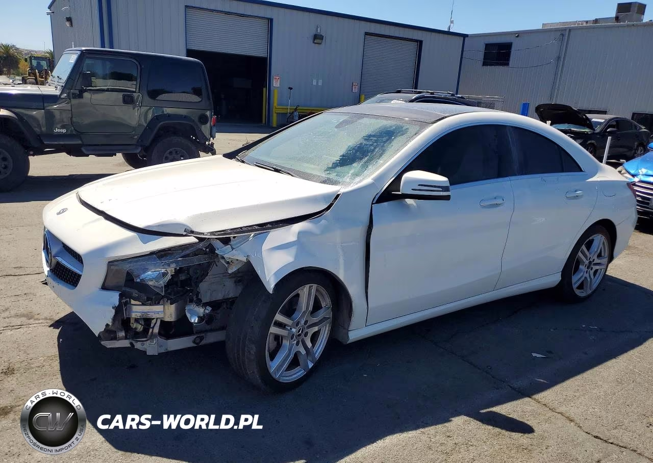 2019 Mercedes-Benz Cla 250 VIN:WDDSJ4EB5KN739531 - 1