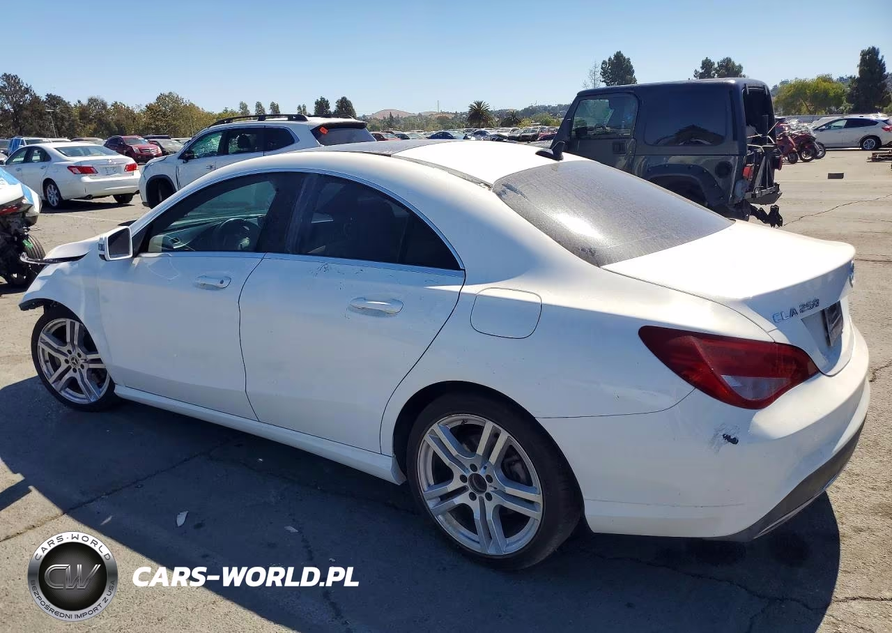 2019 Mercedes-Benz Cla 250 VIN:WDDSJ4EB5KN739531 - 2