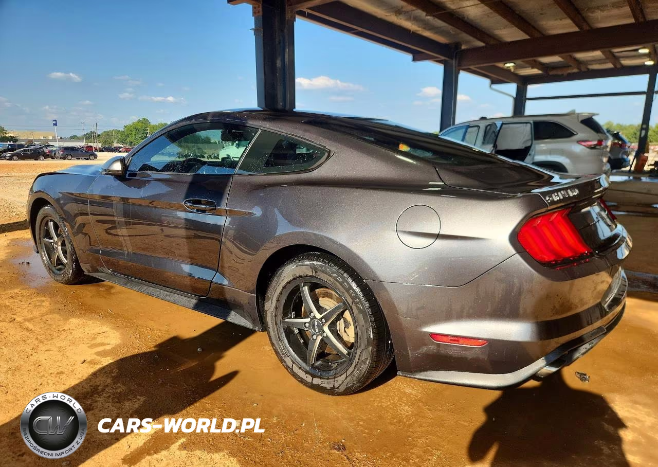 2018 Ford Mustang VIN:1FA6P8TH3J5101971 - 2