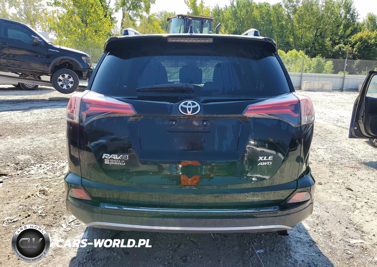 2018 Toyota Rav4 Xle VIN:2T3RFREV7JW828896 - 6