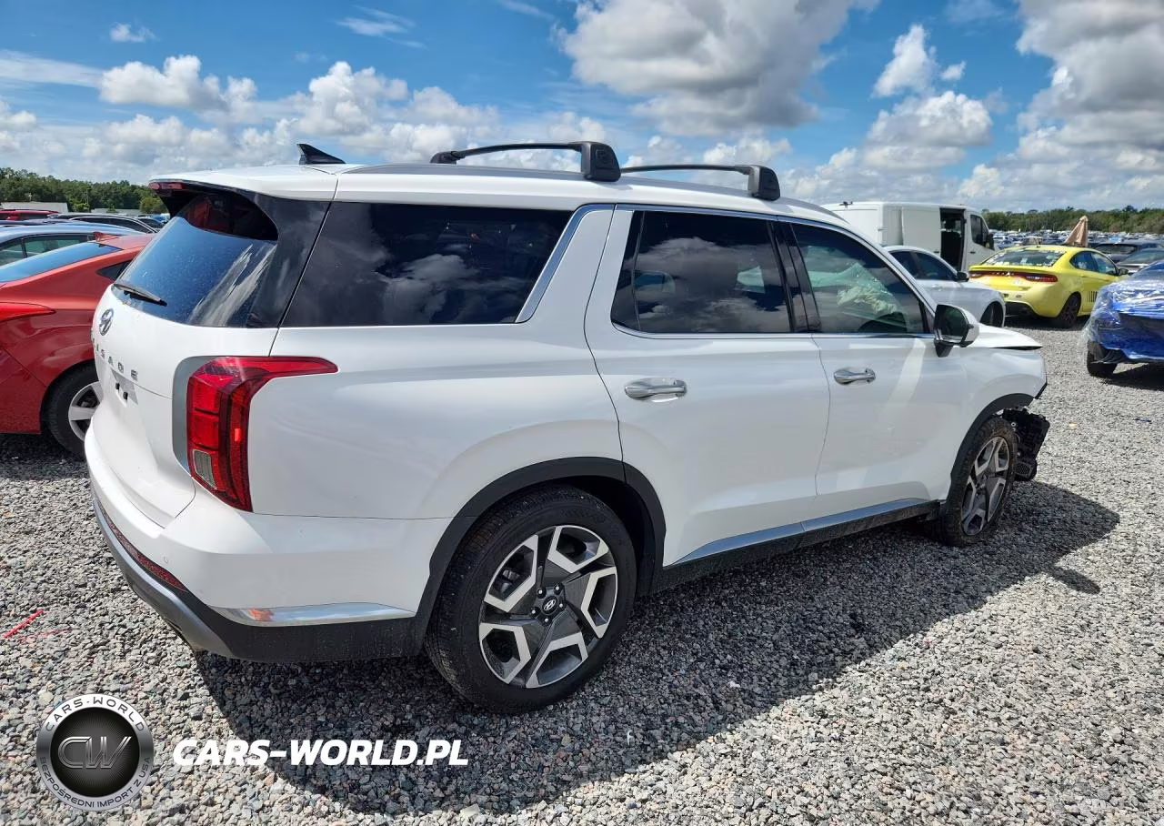 2023 Hyundai Palisade Limited VIN:KM8R54GE2PU490960 - 3