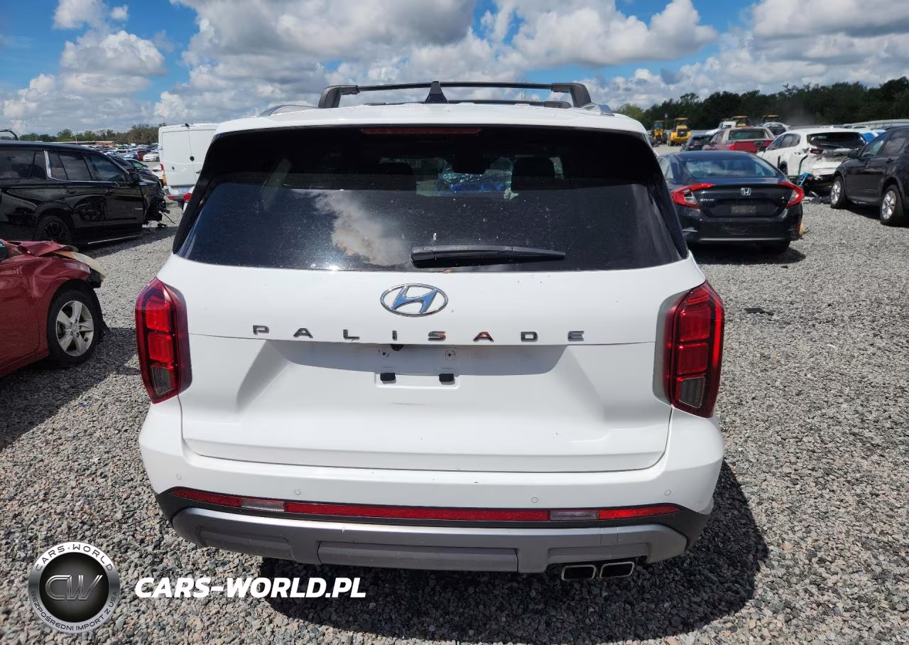 2023 Hyundai Palisade Limited VIN:KM8R54GE2PU490960 - 6