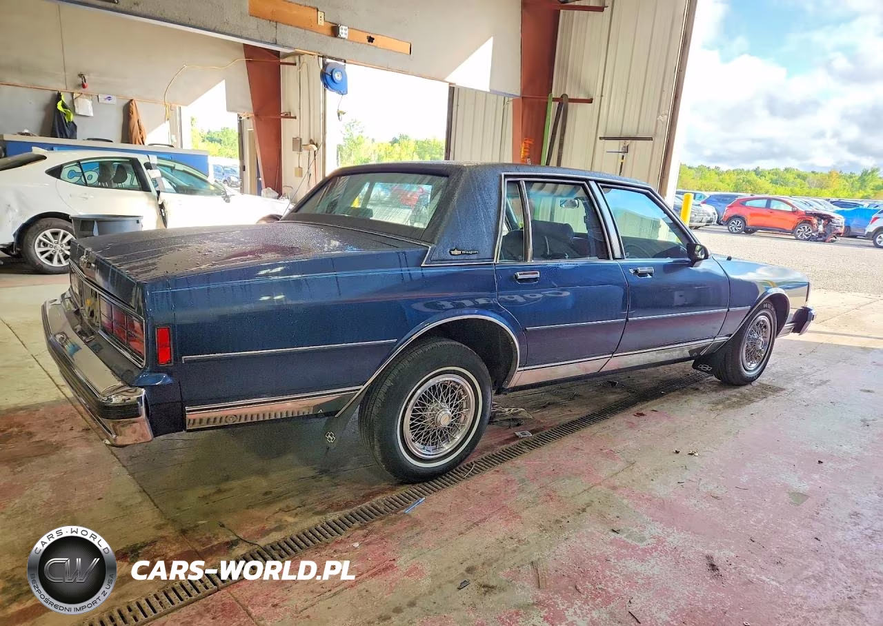 1989 Chevrolet Caprice Classic Brougham VIN:1G1BU51E0KR176011 - 3
