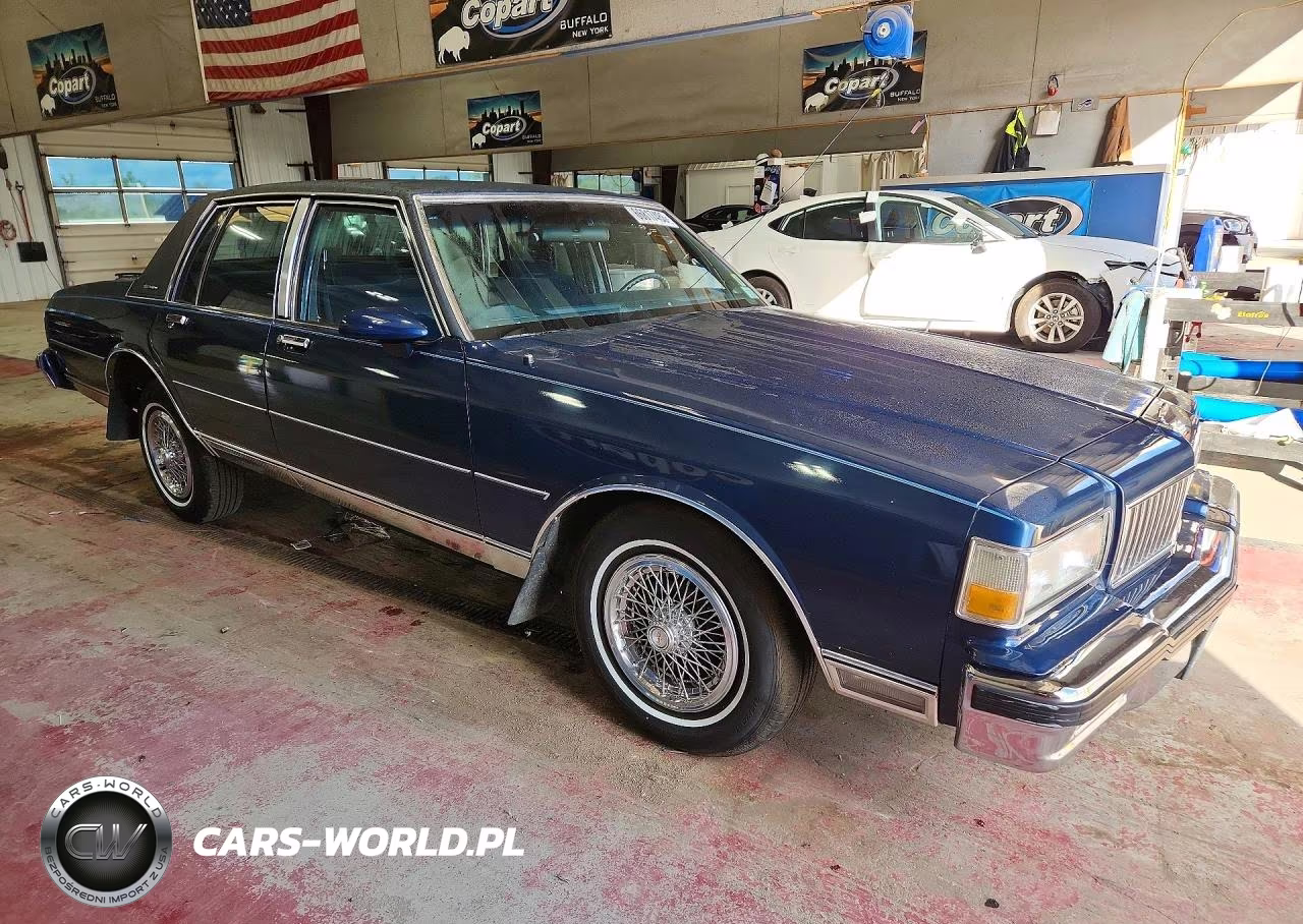 1989 Chevrolet Caprice Classic Brougham VIN:1G1BU51E0KR176011 - 4