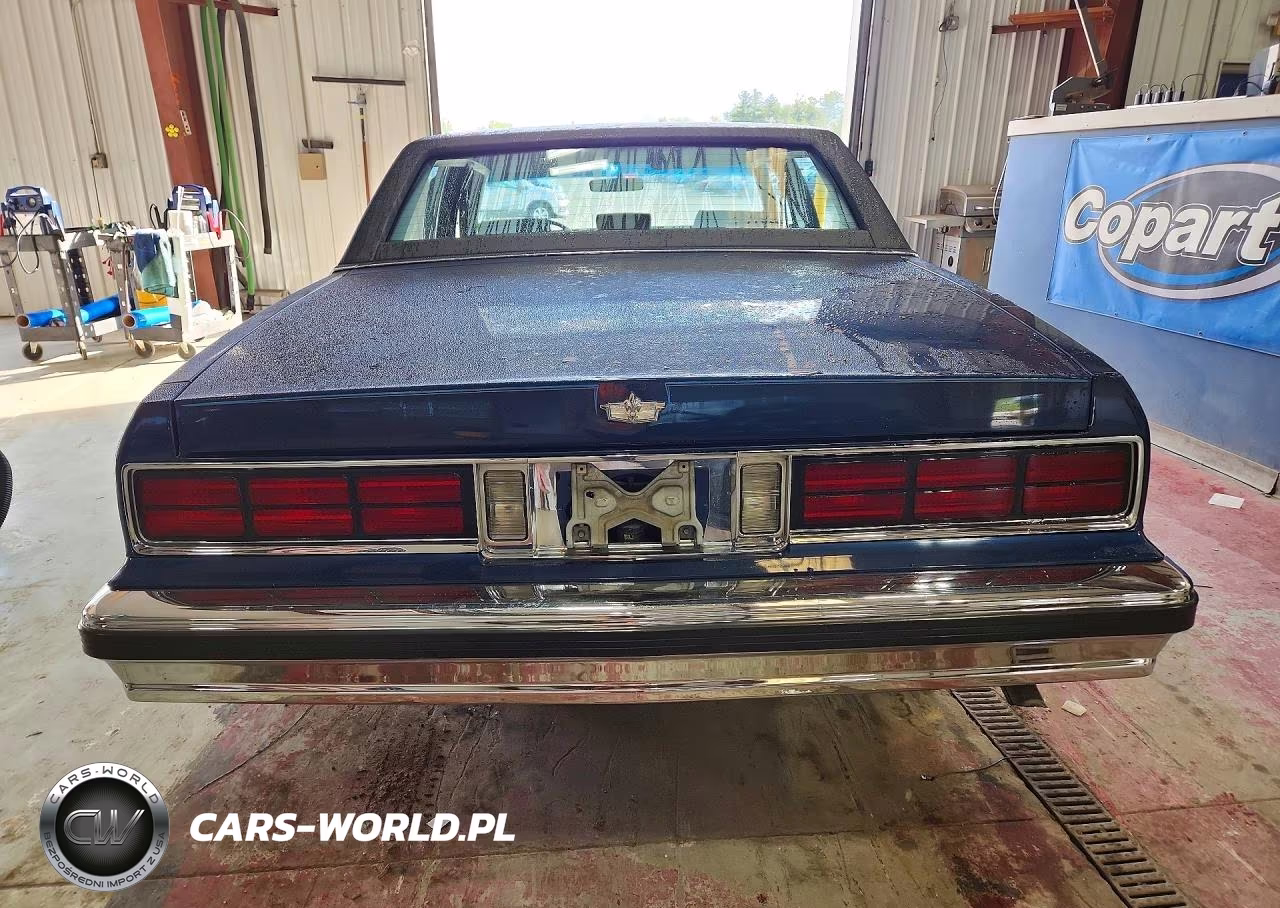 1989 Chevrolet Caprice Classic Brougham VIN:1G1BU51E0KR176011 - 6