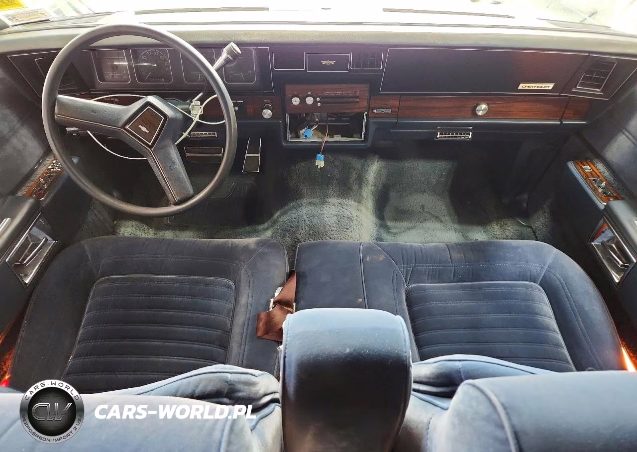 1989 Chevrolet Caprice Classic Brougham VIN:1G1BU51E0KR176011 - 8