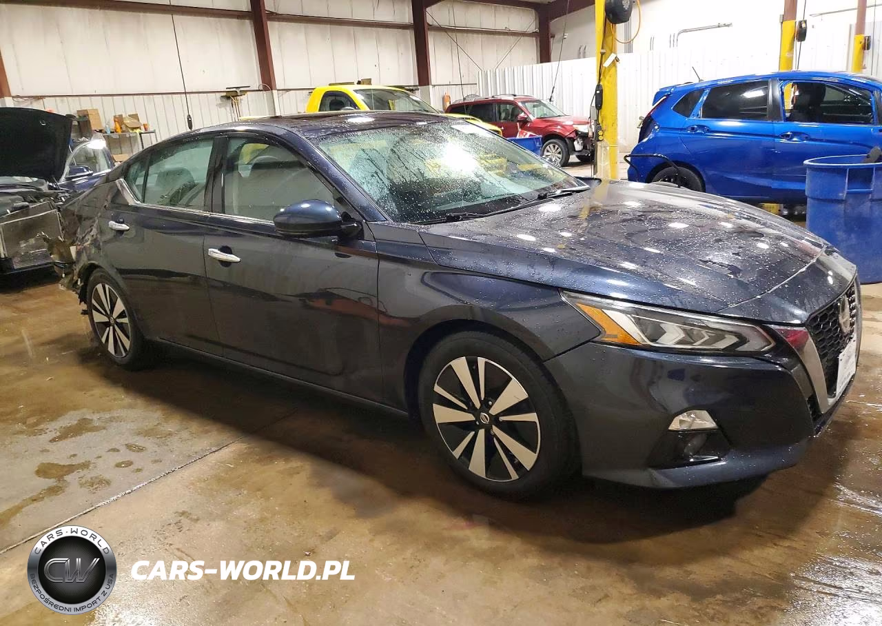 2019 Nissan Altima Sv VIN:1N4BL4DVXKC110266 - 4