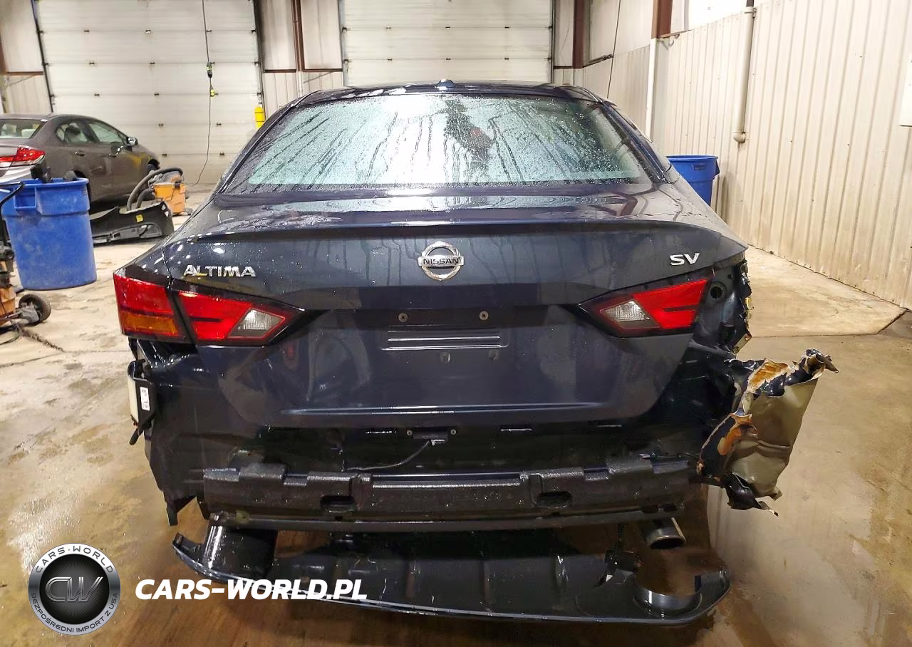 2019 Nissan Altima Sv VIN:1N4BL4DVXKC110266 - 6