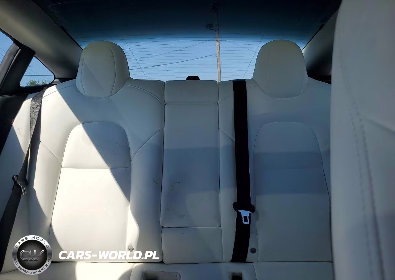2021 Tesla Model 3 VIN:5YJ3E1EA4MF100101 - 10