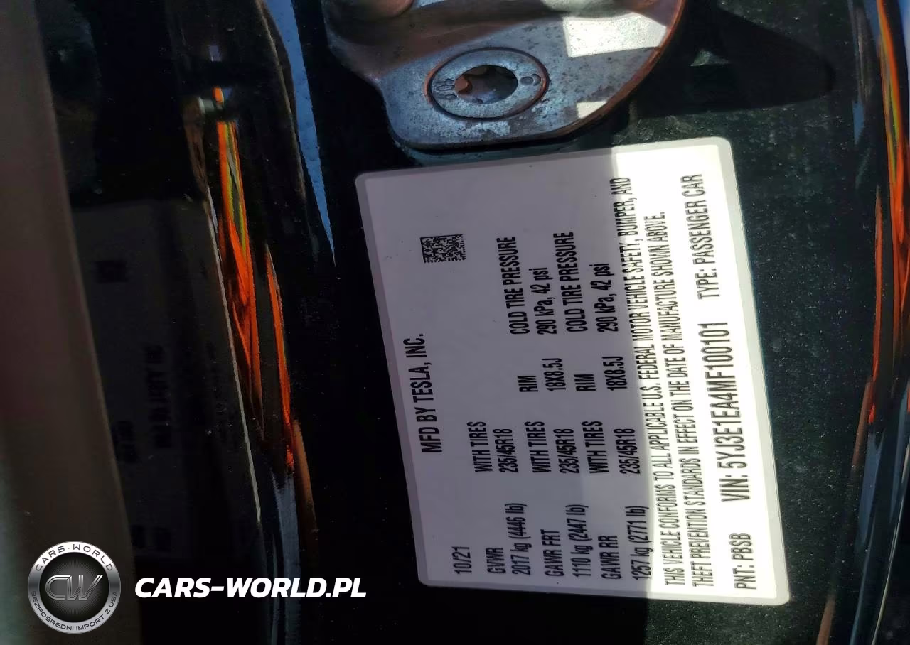 2021 Tesla Model 3 VIN:5YJ3E1EA4MF100101 - 13