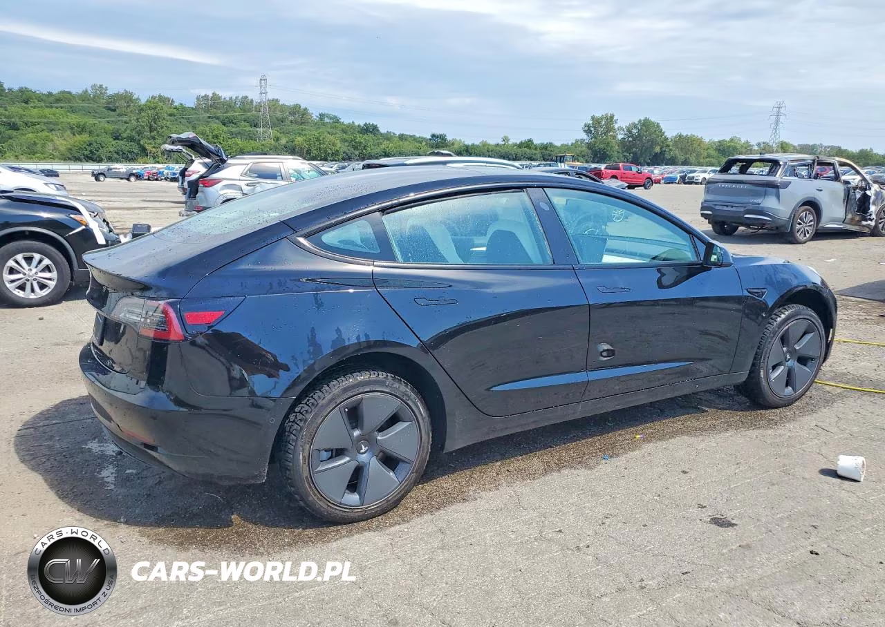 2021 Tesla Model 3 VIN:5YJ3E1EA4MF100101 - 3