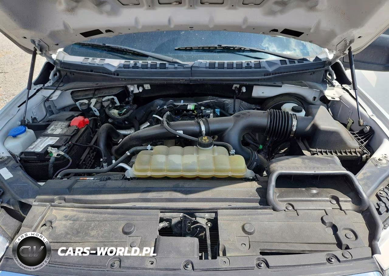 2020 Ford F150 Supercrew VIN:1FTEW1CP6LFB20163 - 11