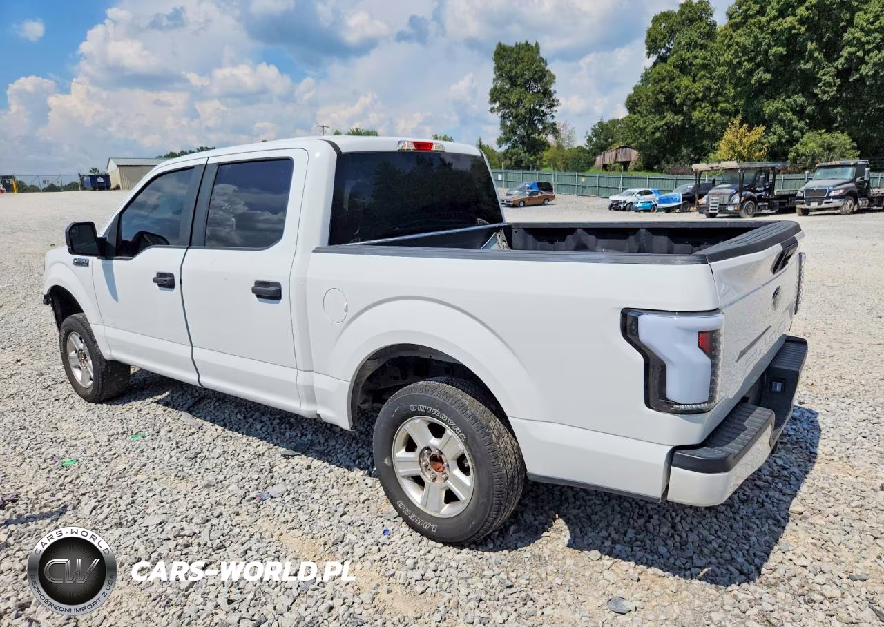 2020 Ford F150 Supercrew VIN:1FTEW1CP6LFB20163 - 2