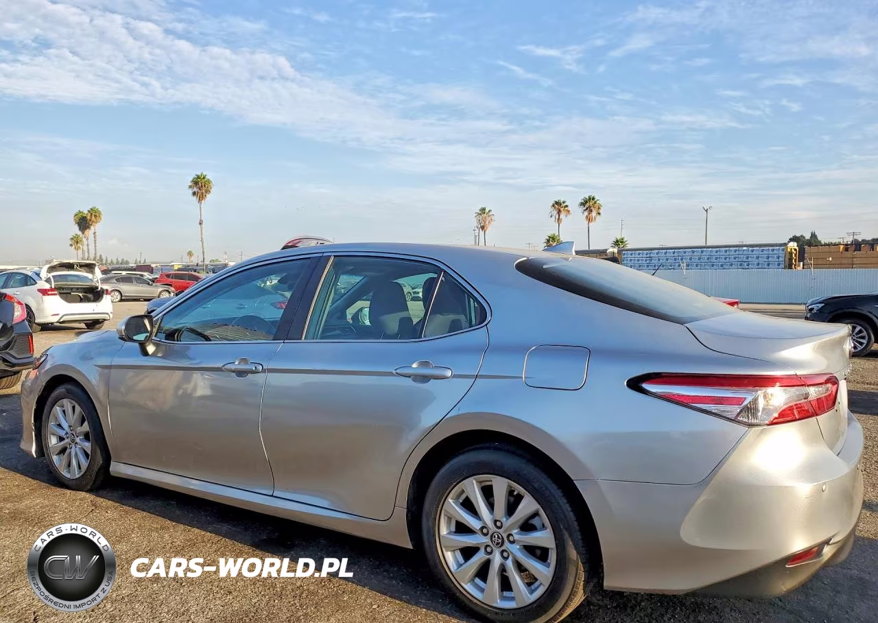 2019 Toyota Camry Le VIN:4T1B11HK3KU245481 - 2