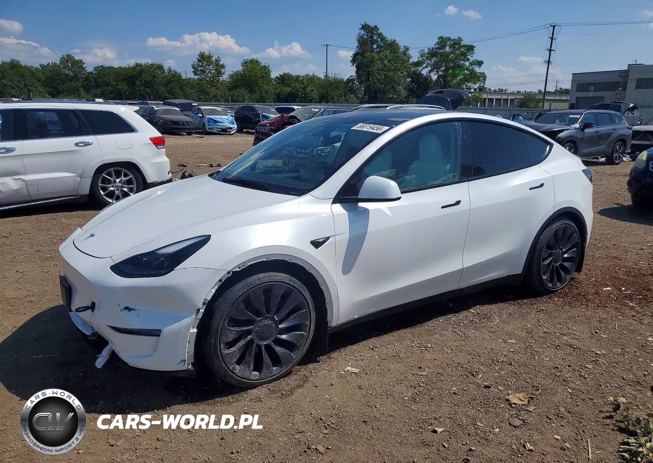 2024 Tesla Model Y