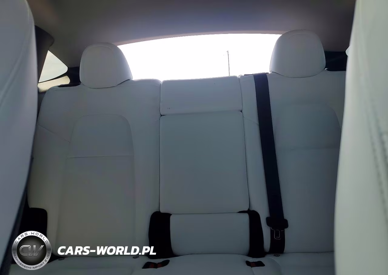 2024 Tesla Model Y VIN:7SAYGDEF3RA299243 - 10