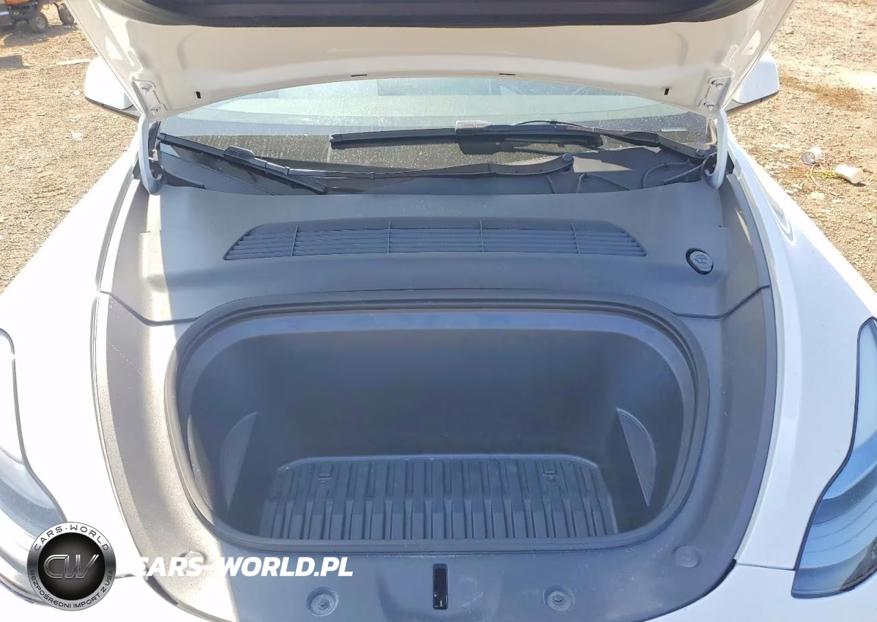 2024 Tesla Model Y VIN:7SAYGDEF3RA299243 - 12