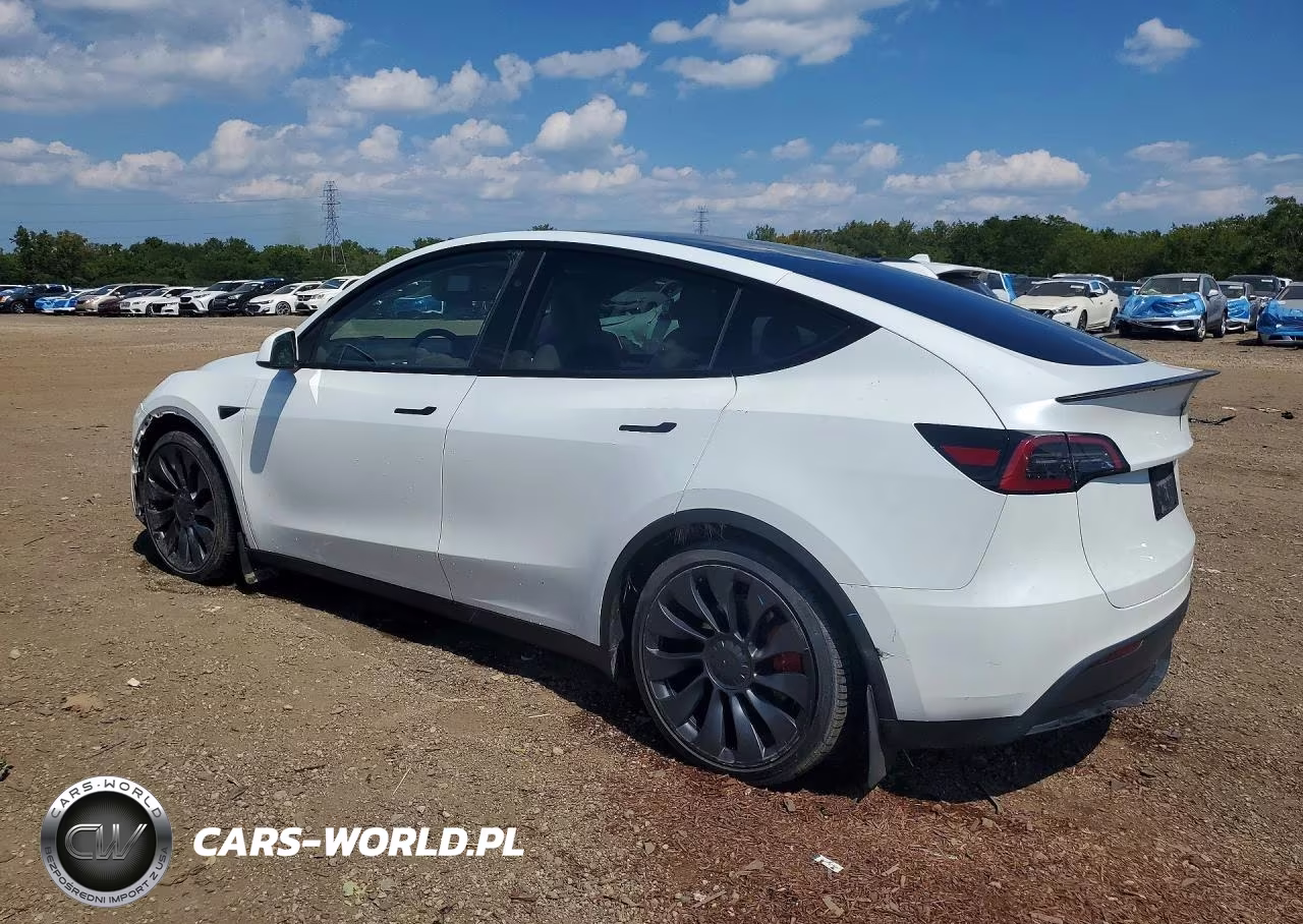 2024 Tesla Model Y VIN:7SAYGDEF3RA299243 - 2