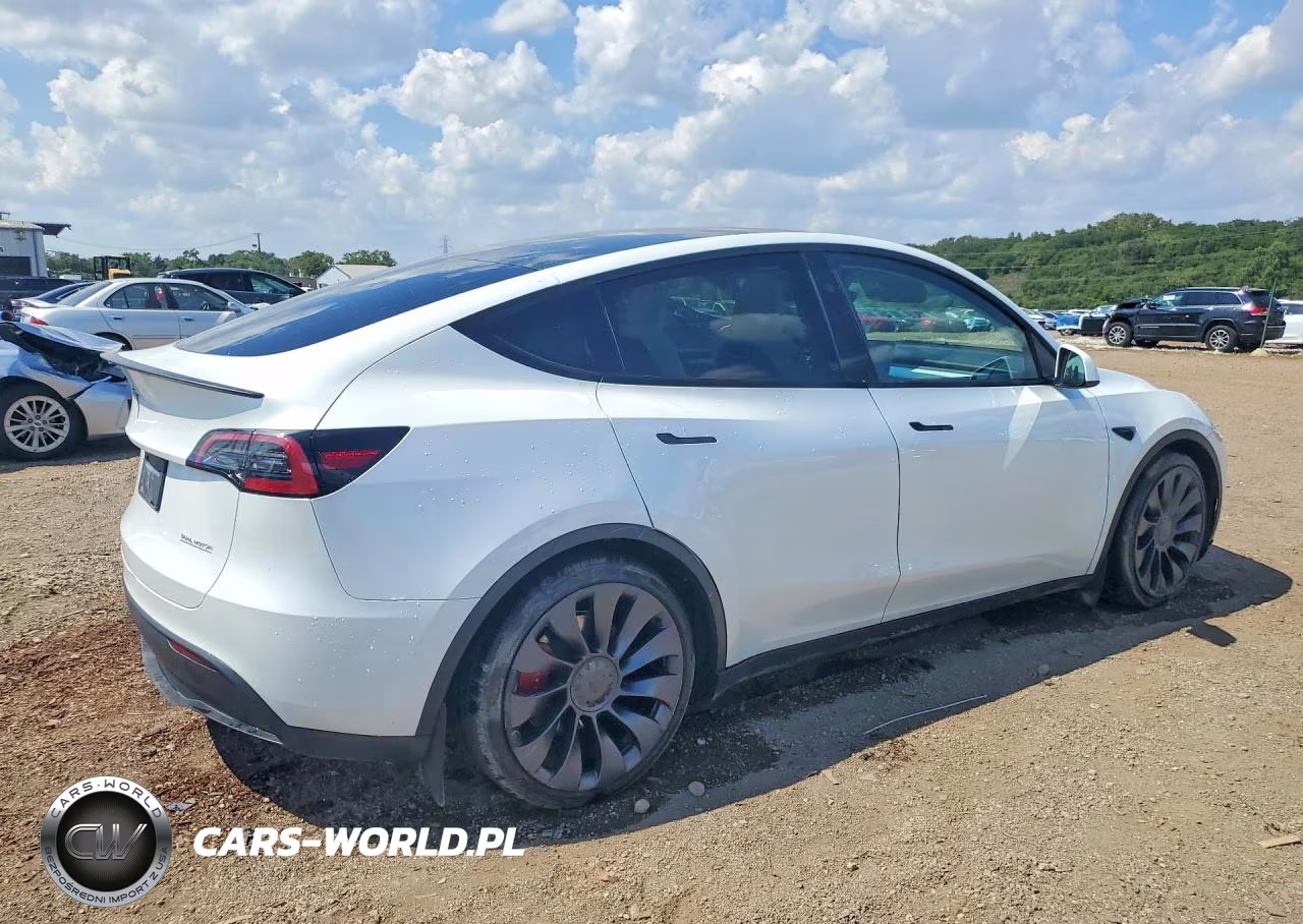 2024 Tesla Model Y VIN:7SAYGDEF3RA299243 - 3