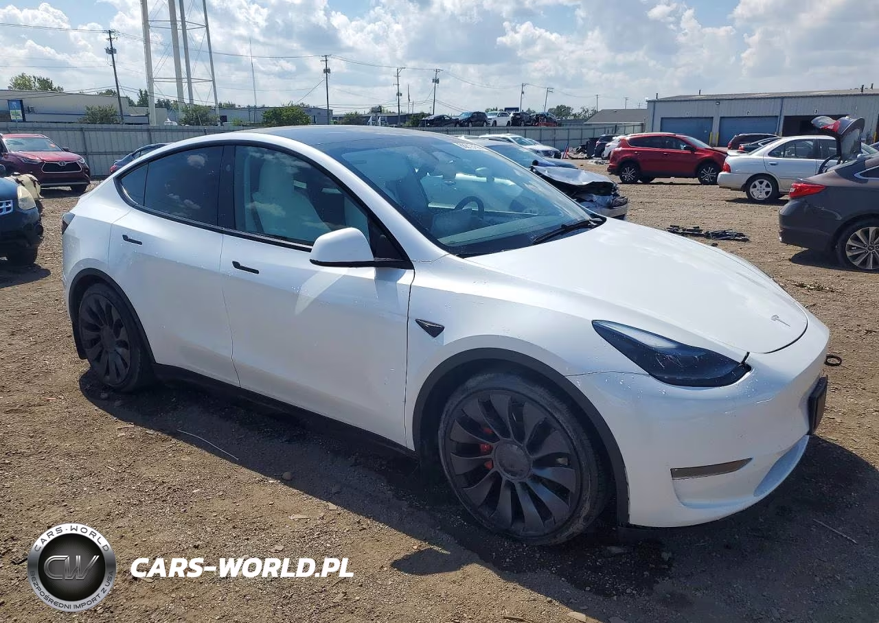 2024 Tesla Model Y VIN:7SAYGDEF3RA299243 - 4