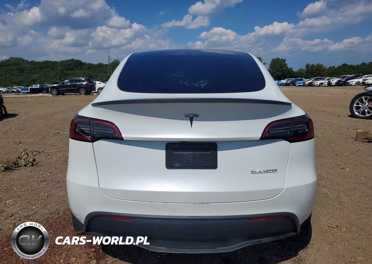 2024 Tesla Model Y VIN:7SAYGDEF3RA299243 - 6