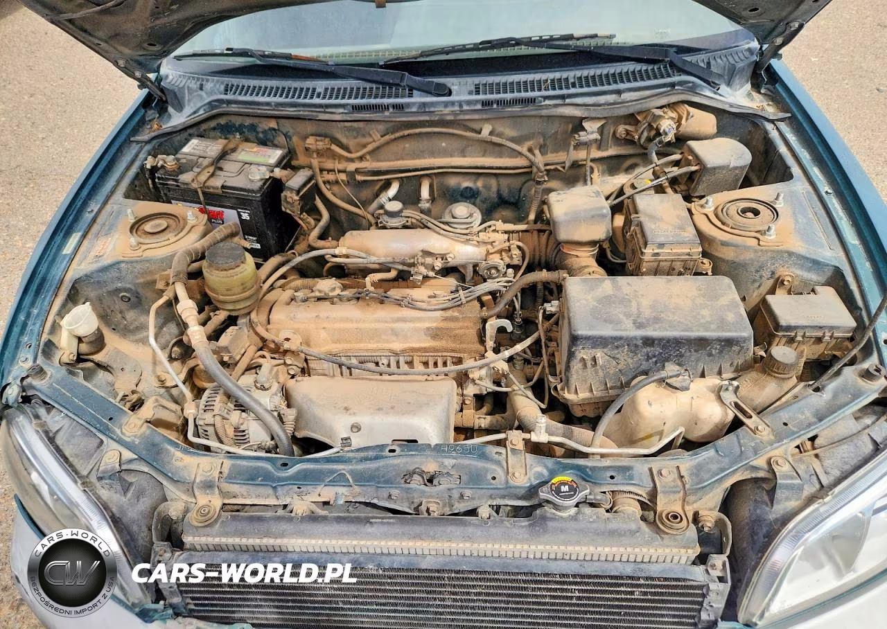 1998 Toyota Rav4 Base VIN:JT3GP10V4W7037892 - 11