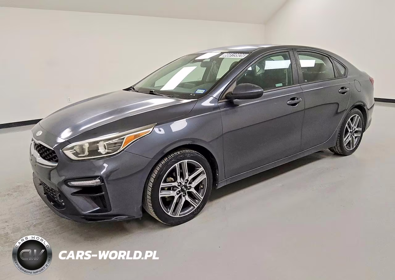2019 Kia Forte S VIN:3KPF34AD8KE039911 - 1