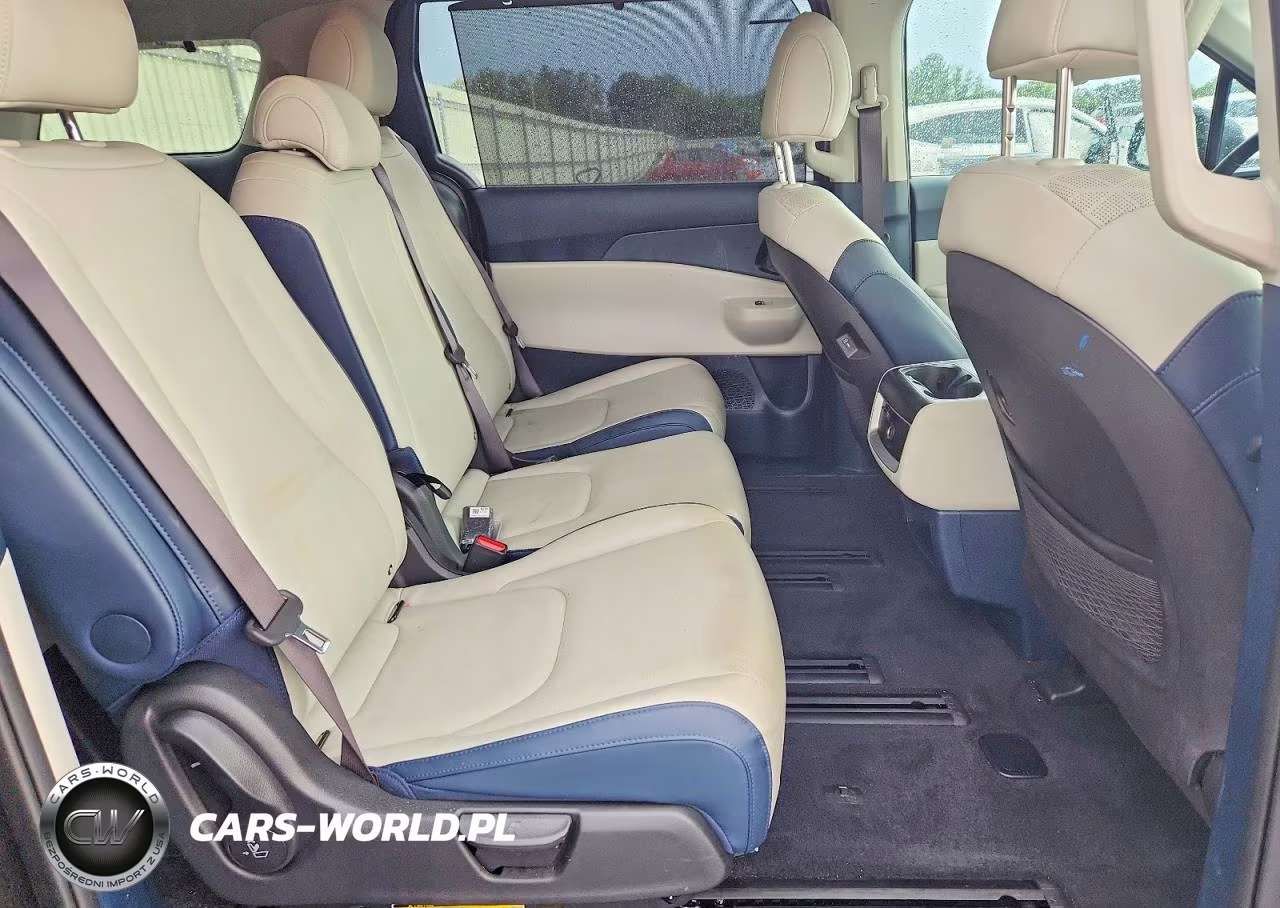 2025 Kia Carnival Ex VIN:KNDNC5KAXS6030039 - 11
