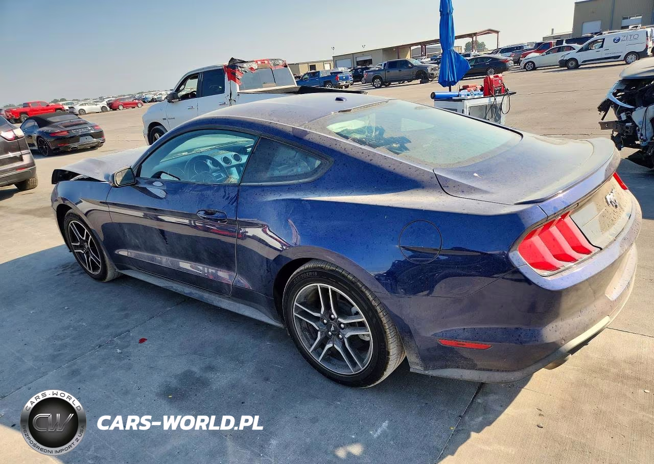 2019 Ford Mustang VIN:1FA6P8TH8K5125314 - 2