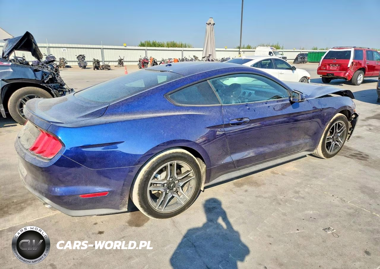 2019 Ford Mustang VIN:1FA6P8TH8K5125314 - 3